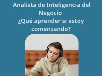 Analista de Inteligencia del Negocio